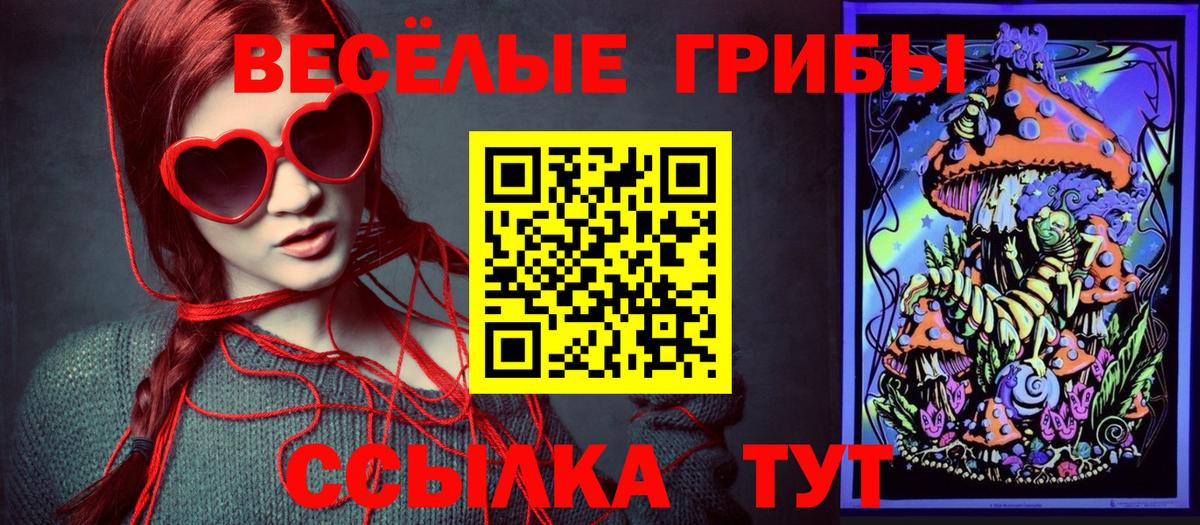 Псилоцибиновые грибы ЛСД Канск