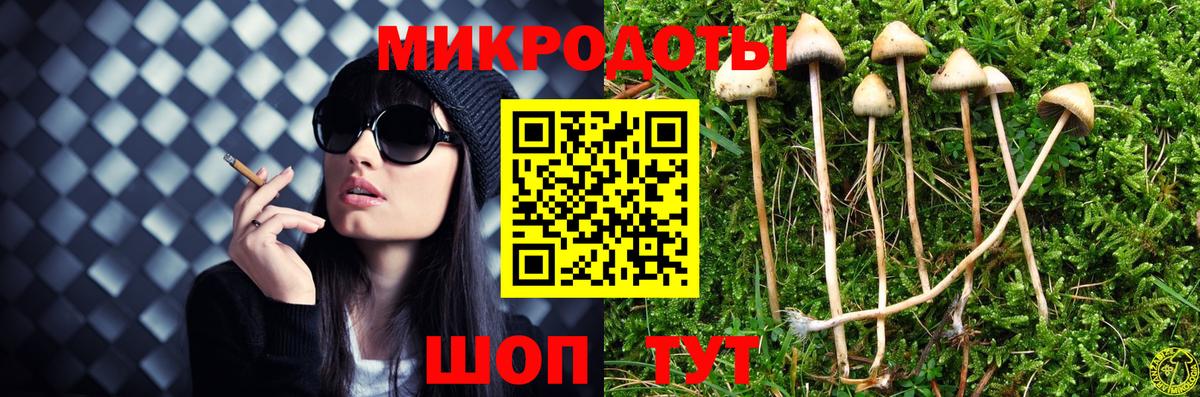 Галлюциногенные грибы Psilocybe  Канск 