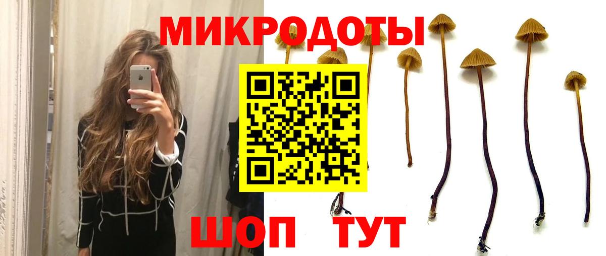 Канск  что такое   Вход с VPN  Псилоцибиновые грибы MAGIC MUSHROOMS 